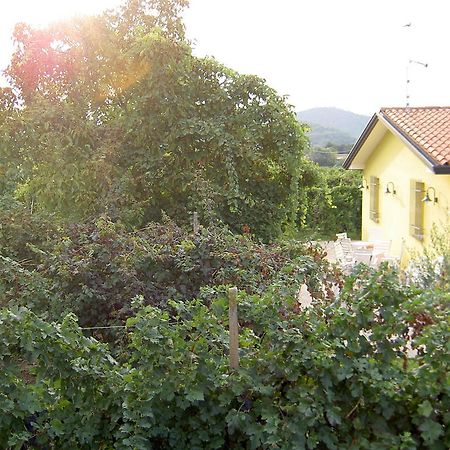 Agriturismo Monteortone อาบาโนแตร์เม ภายนอก รูปภาพ