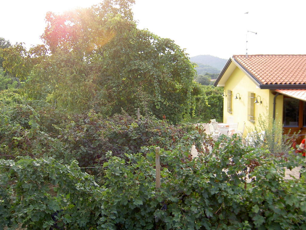 Agriturismo Monteortone อาบาโนแตร์เม ภายนอก รูปภาพ