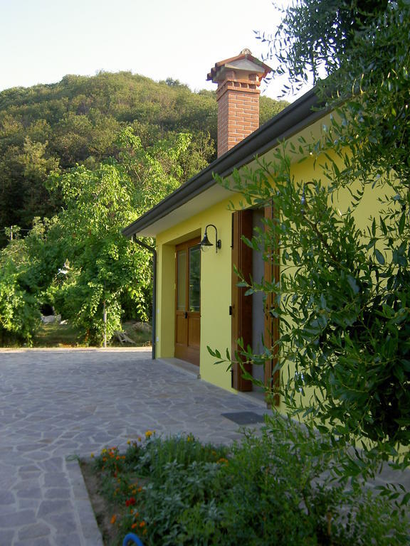 Agriturismo Monteortone อาบาโนแตร์เม ภายนอก รูปภาพ